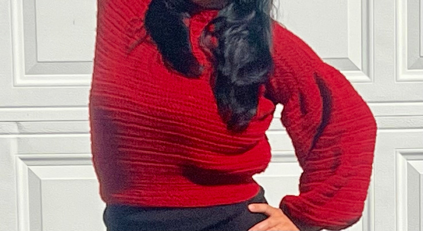 Balloon Sleeved Sweater